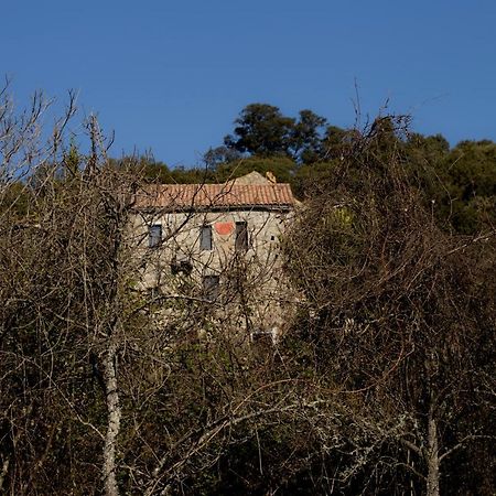 Casa Giacometti Grosseto-Prugna Zewnętrze zdjęcie