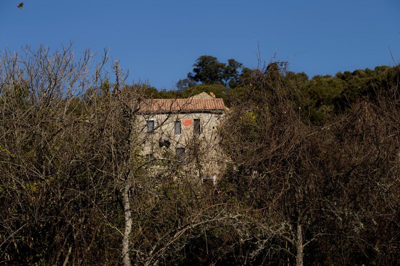 Casa Giacometti Grosseto-Prugna Zewnętrze zdjęcie