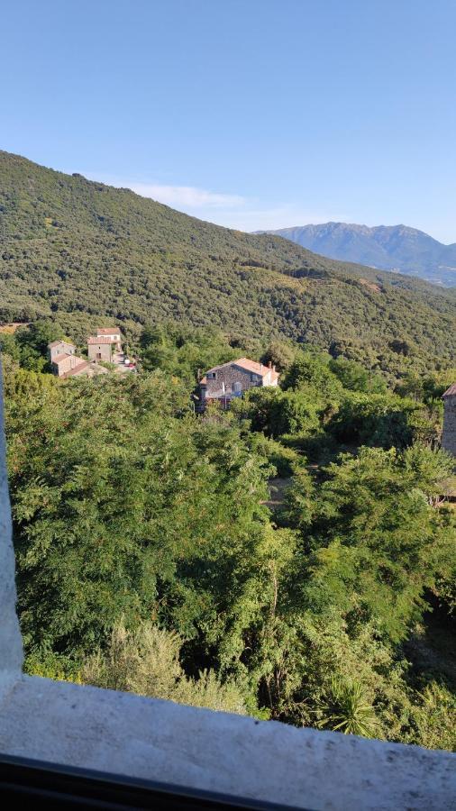 Casa Giacometti Grosseto-Prugna Zewnętrze zdjęcie