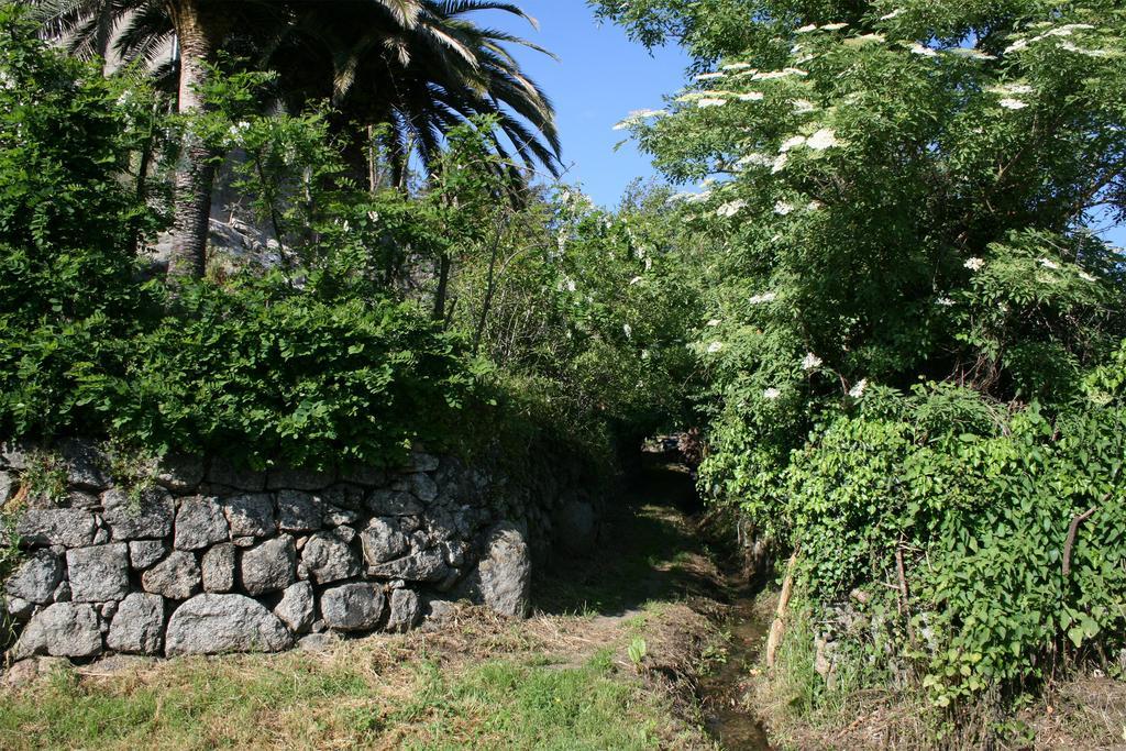 Casa Giacometti Grosseto-Prugna Pokój zdjęcie
